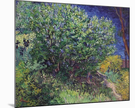 Lilacs, 1889-Vincent Van Gogh-Mounted Art Print