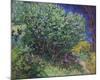Lilacs, 1889-Vincent Van Gogh-Mounted Art Print