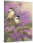 Lilacs and Chickadees-William Vanderdasson-Stretched Canvas