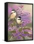 Lilacs and Chickadees-William Vanderdasson-Framed Stretched Canvas