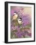 Lilacs and Chickadees-William Vanderdasson-Framed Premium Giclee Print