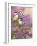 Lilacs and Chickadees-William Vanderdasson-Framed Premium Giclee Print
