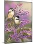 Lilacs and Chickadees-William Vanderdasson-Mounted Premium Giclee Print