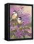 Lilacs and Chickadees-William Vanderdasson-Framed Stretched Canvas