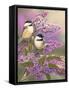 Lilacs and Chickadees-William Vanderdasson-Framed Stretched Canvas