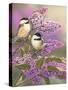 Lilacs and Chickadees-William Vanderdasson-Stretched Canvas