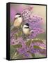 Lilacs and Chickadees-William Vanderdasson-Framed Stretched Canvas