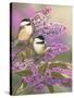 Lilacs and Chickadees-William Vanderdasson-Stretched Canvas