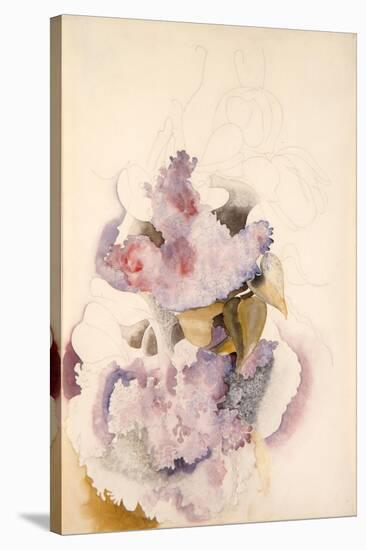 Lilacs, C.1917 (W/C on Paper)-Charles Demuth-Stretched Canvas