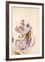 Lilacs, C.1917 (W/C on Paper)-Charles Demuth-Framed Giclee Print