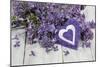 Lilacs, Flowers, Purple, Violet, Heart-Andrea Haase-Mounted Photographic Print