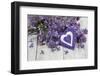 Lilacs, Flowers, Purple, Violet, Heart-Andrea Haase-Framed Photographic Print