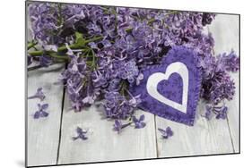 Lilacs, Flowers, Purple, Violet, Heart-Andrea Haase-Mounted Photographic Print