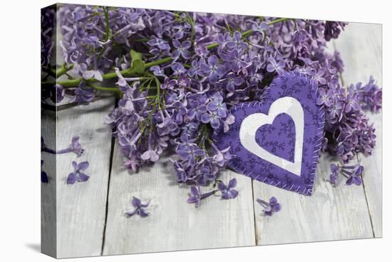 Lilacs, Flowers, Purple, Violet, Heart-Andrea Haase-Stretched Canvas