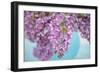 Lilacs in Blue Vase I-Cora Niele-Framed Giclee Print