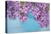 Lilacs in Blue Vase V-Cora Niele-Stretched Canvas