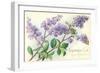 Lilacs, Topanga, California-null-Framed Art Print