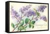 Lilacs, Topanga, California-null-Framed Stretched Canvas