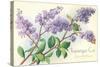 Lilacs, Topanga, California-null-Stretched Canvas