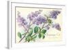 Lilacs, Topanga, California-null-Framed Art Print