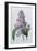 Lilacs-Pierre-Joseph Redouté-Framed Giclee Print