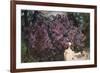 Lilacs-Mikhail Alexandrovich Vrubel-Framed Giclee Print