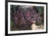 Lilacs-Mikhail Alexandrovich Vrubel-Framed Giclee Print