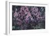 Lilacs-Mikhail Alexandrovich Vrubel-Framed Giclee Print