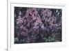 Lilacs-Mikhail Alexandrovich Vrubel-Framed Giclee Print