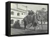 Lilah Wingfield, Arthur Brodrick, Judy Smith and Sylvia Brooke on the Maharaja of Jaipur's State…-English Photographer-Framed Stretched Canvas