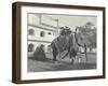 Lilah Wingfield, Arthur Brodrick, Judy Smith and Sylvia Brooke on the Maharaja of Jaipur's State…-English Photographer-Framed Photographic Print