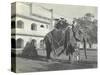 Lilah Wingfield, Arthur Brodrick, Judy Smith and Sylvia Brooke on the Maharaja of Jaipur's State…-English Photographer-Stretched Canvas