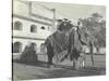 Lilah Wingfield, Arthur Brodrick, Judy Smith and Sylvia Brooke on the Maharaja of Jaipur's State…-English Photographer-Stretched Canvas