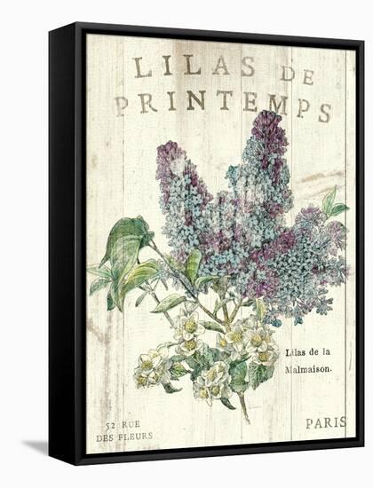 Lilas de Printemps-Sue Schlabach-Framed Stretched Canvas