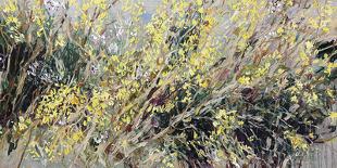 Forsythia Golden Bells-Lilia Orlova Holmes-Mounted Giclee Print