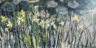 Irises by the Pond-Lilia Orlova Holmes-Giclee Print