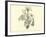 Liliaceae of Sacsahuaman, Amaryllis Aurea, Crinum Urceolatum, Pancratium Recurvatum-Édouard Riou-Framed Giclee Print