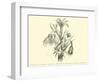 Liliaceae of Sacsahuaman, Amaryllis Aurea, Crinum Urceolatum, Pancratium Recurvatum-Édouard Riou-Framed Giclee Print