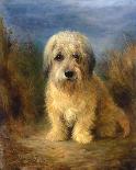 A Spaniel in the Highlands-Lilian Cheviot-Giclee Print