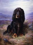 A Spaniel in the Highlands-Lilian Cheviot-Giclee Print