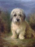 Scottish and a Sealyham Terrier-Lilian Cheviot-Giclee Print