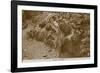 Lilian Harvey-null-Framed Photographic Print