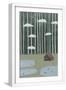 White Frame