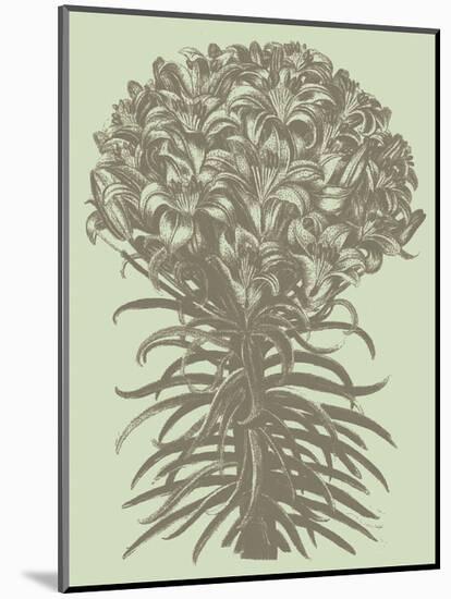 Lilies 11-Botanical Series-Mounted Art Print