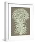 Lilies 12-Botanical Series-Framed Art Print