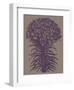 Lilies 14-Botanical Series-Framed Art Print