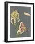 Lilies, 1897-Kazumasa Ogawa-Framed Giclee Print