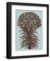 Lilies 18-Botanical Series-Framed Art Print