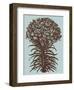 Lilies 18-Botanical Series-Framed Art Print