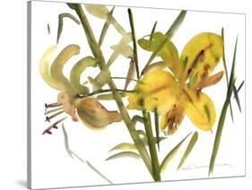 Lilies, 1987-Claudia Hutchins-Puechavy-Stretched Canvas